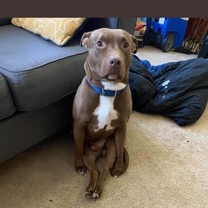 Meet your Posher, Mitchell